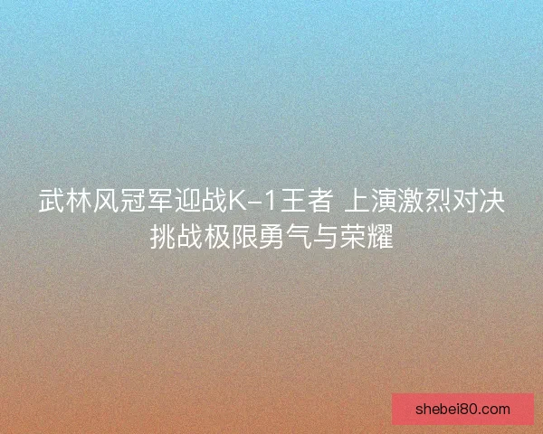 武林风冠军迎战K-1王者 上演激烈对决挑战极限勇气与荣耀